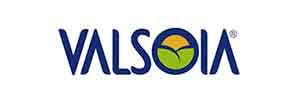 Valsoia